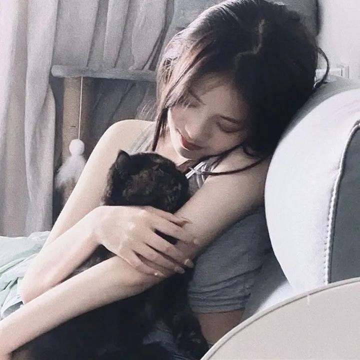 狗仔杜宾